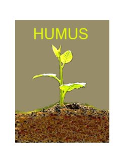 ComiteHumus6_imagebf_image_Logo_Humus_agenda._20250707161009_20250707161009.jpg
