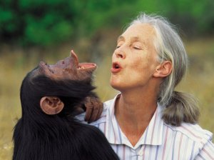 Jane_Goodall.jpg